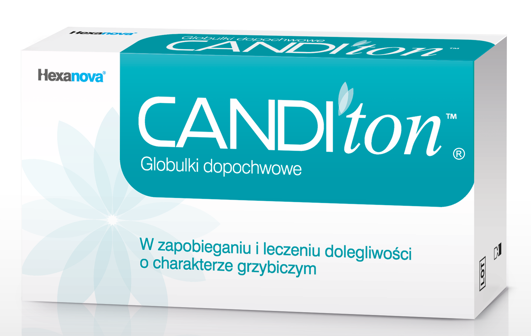 canditon hexanova